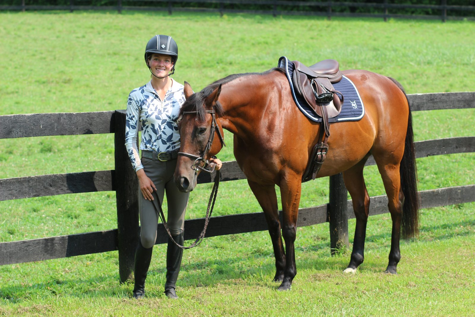 Brave Horse equine apparel gallery image