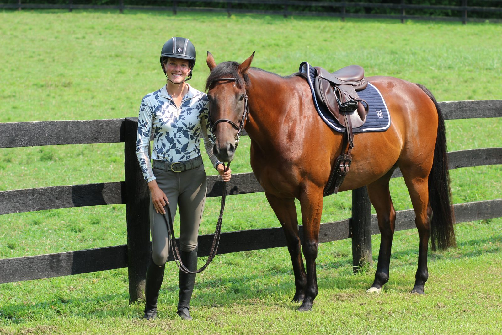 Brave Horse equine apparel gallery image