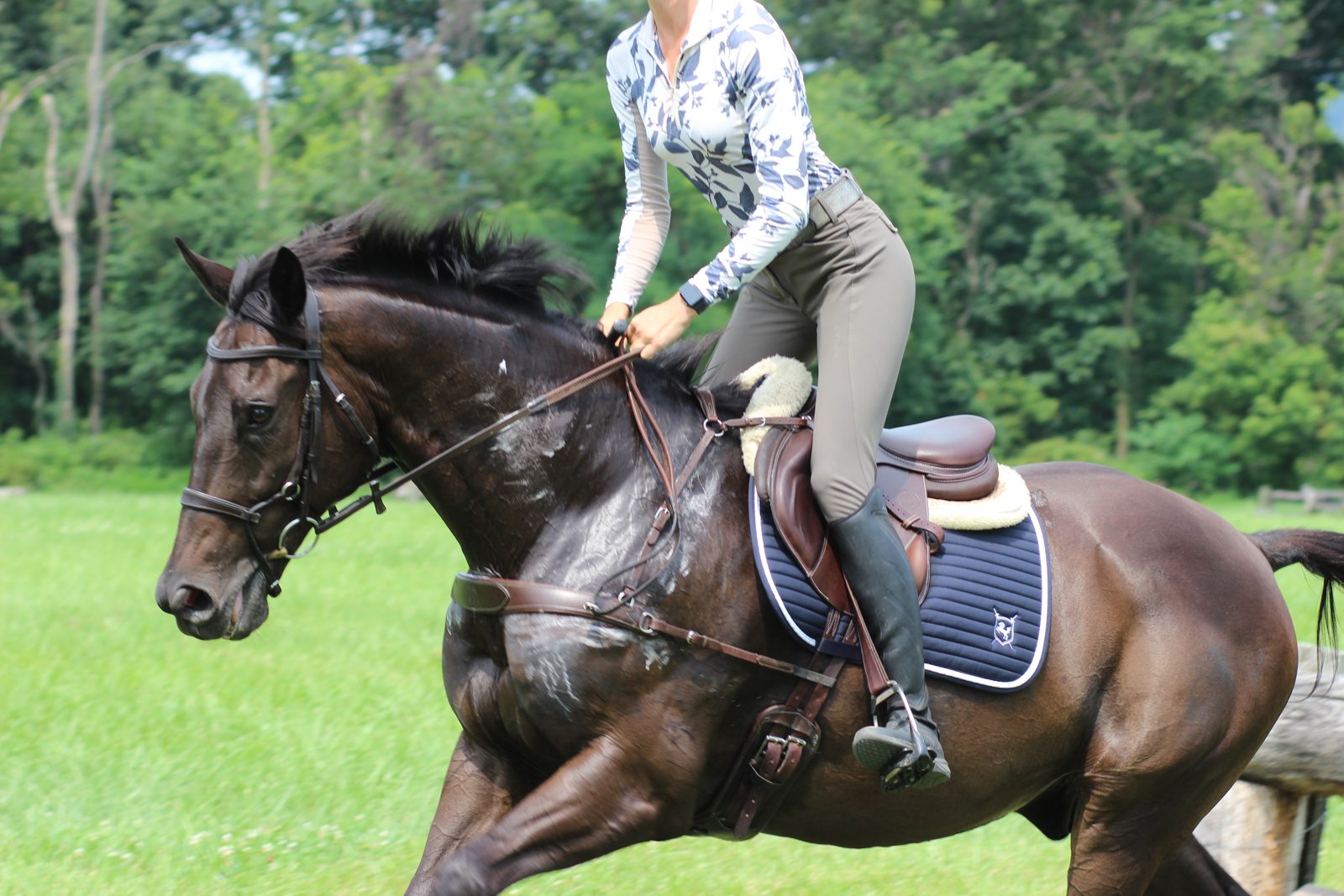 Brave Horse equine apparel gallery image
