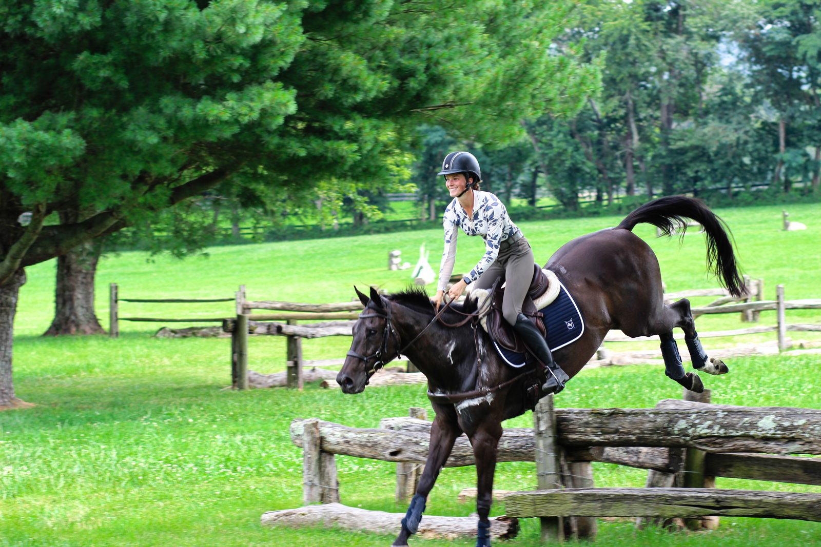Brave Horse equine apparel gallery image